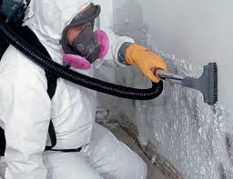 Best HVAC Mold Inspection and Cleaning  in Glasgow, VA